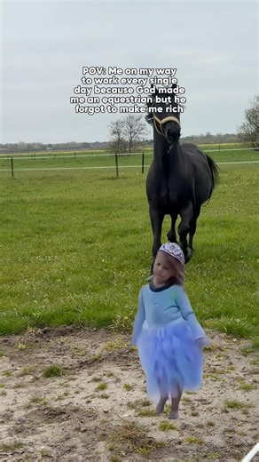 Unfair I would say 🤔 #equestrianstyle #equestrianjourney #horse #equestrian #horsegirl