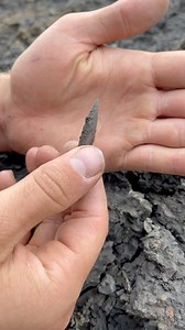 1.3M views · 5.5K reactions | We came across a fresh mud LANDSLIDE!...