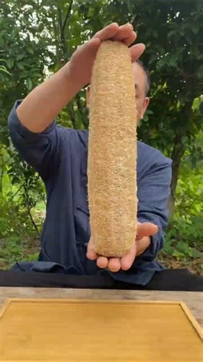 Don’t Throw This! The Hidden Power of Dried Loofah 🌿😲 #shorts #plants #farming