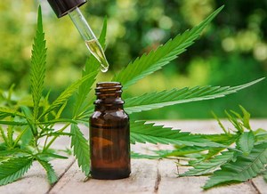 Cannabis Tincture Recipe | How to make Cannabis Tincture