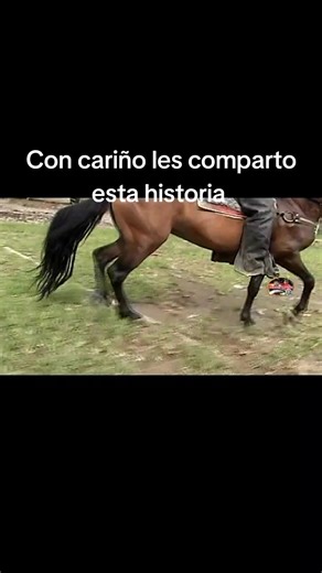 Historia de Amor en la Música Popular Ecuatoriana