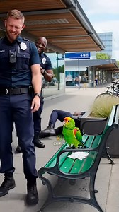 Officer Tries to Finish Paperwork 📝 • Chirpo hops on the keyboard • Random letters everywhere • Paperwork officially doomed #funnyvideo #police #chirpoparrot | Chirpo