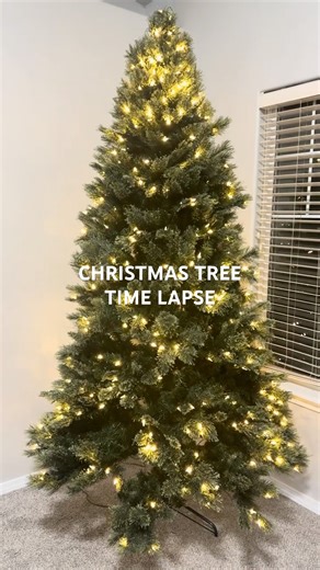 christmas tree time lapse