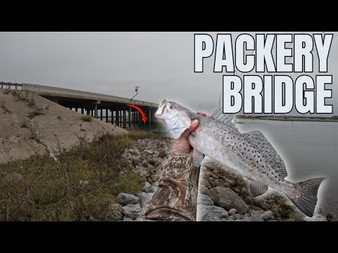 Fishing PACKERY BRIDGE for COLD weather SPECKLED TROUT!!! (Corpus Christi, TX)