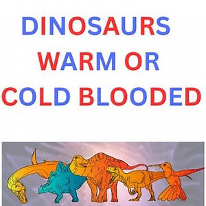Dinosaurs endothermic (warm-blooded) or ectothermic (cold-blooded)  unit