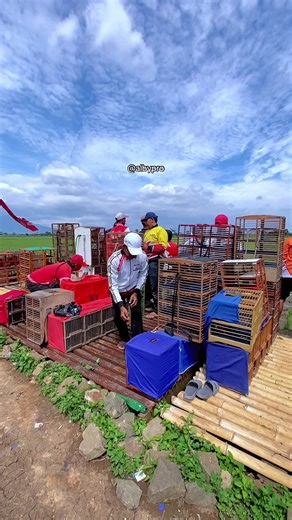 ALBY Pro (@albypro.69)’s videos with suara asli - ALBY Pro