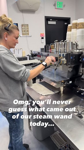 2.2K views · 19 reactions | Didn’t expect this while giving our steam wand its daily glow-up ✨ for that perfect latte magic! #javapoputah #explorepage #reels #womenownedbusinesses #instagood #utahdrinks #love #coffee | Java Pop | Facebook