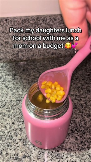 Pack My Daughter's School Lunch on a Budget | Walmart & Dollar Tree