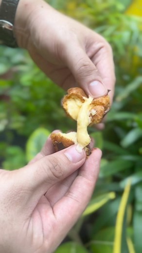 16 reactions | Stop the hunt for your next gift here! Reserve your Croquembouche gift now #croquembouchefactory #croquembouche #creampuff #giftcake #giftideas #birthdaygiftideas (The dog didn’t eat any of it) | Croquembouche Factory | Facebook