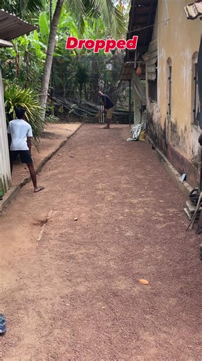 Dropped Catch Moments in Cricket