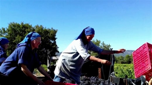 Catholic nuns run vineyard in France
