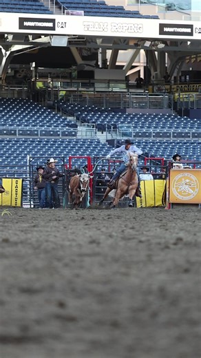 Youngest horse in the field: Rhen Richard’s James Bond. Oldest horse in the field: Jeremy Buhler’s Hoss. San Diego rodeo champions Richard and Buhler with $25,000 a man on the weekend.