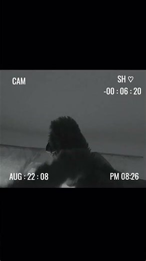 por que o meu huggy está se mexendo