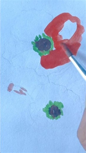 #shorts#poppy flower drawing video #art#painting#drawing# poppy flower #easy drawing