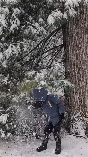 Obsessed with this homeschool life would be an understatement. The freedom to live how you want and frolick in the snow on a random weekday afternoon after Time4Learning lessons are complete? Sign us up! Explore learning at the pace of your life at www.time4learning.com #homeschooling #homeschoolmom #time4learning | Time4Learning