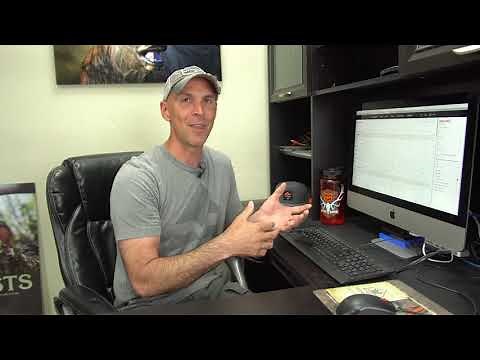 How to Find the Best OTC Elk Hunting Units in Idaho