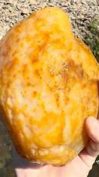 AGATE BRAIN!!! Look at this BEAST of a #carnelian #agate #nodule 😱🤯🔥#rockhound #rockhounding #pnw