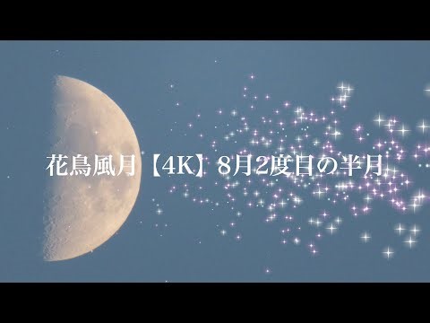 花鳥風月【4K】８月2度目の半月 August’s Second Half-Moon