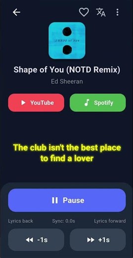 Recognize Any Song Instantly | Synced Lyrics & Lyrics Translation | LyricSync
