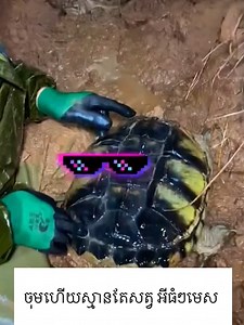 66K views · 324 reactions | 2024 VIDEO HD on Reels | Facebook