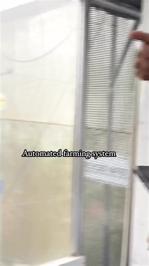 10K views · 92 reactions | Hitech Automated farming set up. #hydroponics #greenhouse #farming #fypシ゚viralシfypシ゚viralシalシ #turbulent #pinoypalaboy | Pinoy Palaboy | Facebook