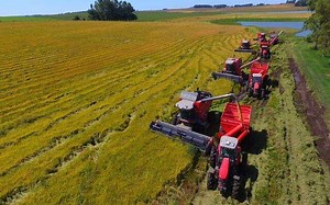 Precision agriculture