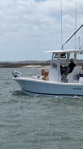 Regulator 26XO on the move 😮‍💨 . . #centerconsolesonly #bayboat #offshorefishing #yamahaoutboards #boatinglifestyle #wrightsvillebeach #boater | Boat Daddy Marine