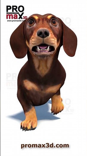 Animated Dachshund 3D Model for Download | @PROmax3D