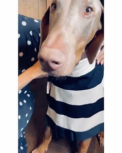 48K views · 2K reactions | Me. Home. ⠀ My closet. My Lucho.⠀ ⠀ My new...