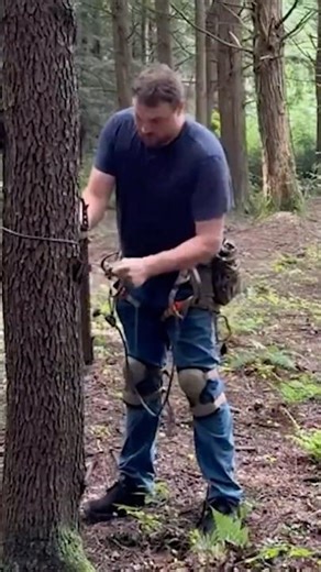 How Climbing Sticks Work for Saddle Hunting (Super Simple)