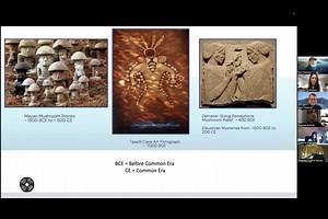 Paul Stamets. January 2023