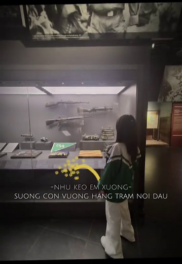 Kỳ Thi Học Sinh Giỏi Quốc Gia: Kinh Nghiệm Và Tài Liệu
