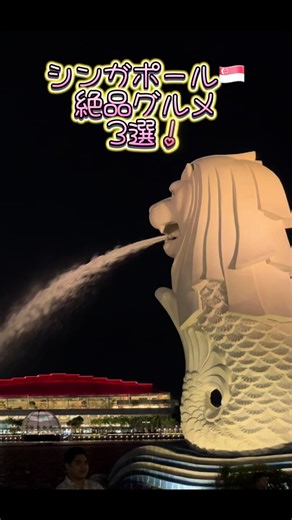 シンガポール絶品グルメ3選！#シンガポール#ごはん#グルメ#おすすめ#カヤトースト#チキンライス#海南チキンライス#マクスウェルフードセンター#サテ#ラウパサ#ホーカー#マリーナベイサンズ