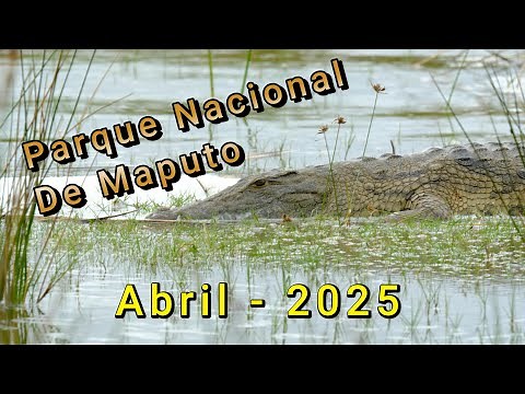 Abril 2025 visita ao Parque Nacional de Maputo