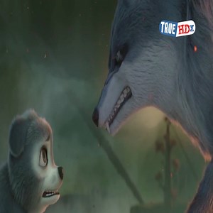 1.8M views · 57K reactions | Happy To Watch Cartoon Movies 2025 | Sunflowers | Facebook