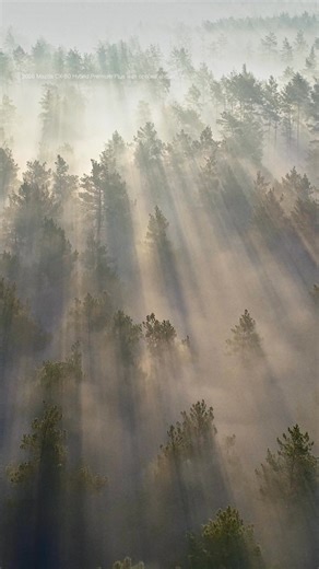 Efficiency when you want it. Power when you need it. Mazda CX-50 Hybrid. | Mazda USA