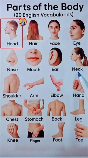 "Easy English Lessons for Beginners – Improve Every Week!" #learnenglishfast #englishmadeeasy #englishforbeginners #englishwithme #speakenglishfluently #americanenglishlearning #usastudents #englishcoachusa #englishpracticeeveryday #studyenglishonline #englishshorts #englishreels #learnwithvideo #englishspeakingpractice #englishskillsboost #englishconfidence #viralenglishcontent #usatrendingvideos #learnenglishdaily #educationusa | Englishforyou789