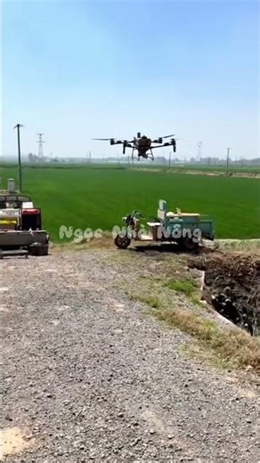 Anh Em Đi Bay Nhớ Dọn Sạch Sẽ Rác Bãi Bay Nha #nongdan #nongnghiep #farming