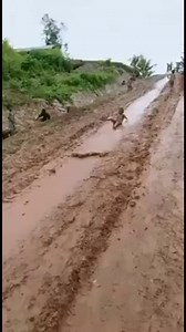 329K views · 1.7K reactions | Otroci imajo zelo redko res čas za...