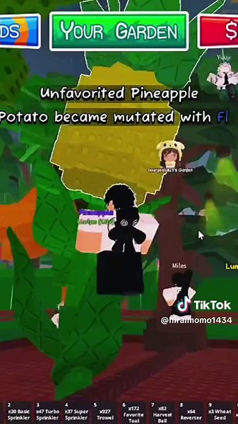 Creative Garden Ideas with Pineapples and Watermelons