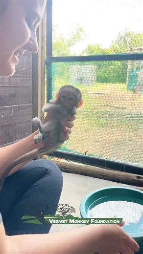 💙 Yogi’s Road to Recovery 💙 The road to recovery was uncertain, but we’ve taken it one day at a time. Watching Yogi in his daily aqua therapy session fills our hearts with so much happiness. More so because he absolutely loves it, and seeing those small signs of sensation in his legs gives us so much hope. Every gentle kick, every ripple in the water reminds us that healing takes patience, love, and faith. His prognosis is looking brighter day by day and that’s all we want for him. #YogiStrong