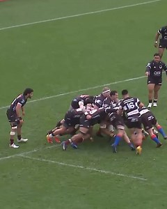 25K views · 181 reactions | Hawkes Bay Magpies have made a habit of the 2-point win vs Harbour Rugby 﫣 2022 | 25-23 2023 | 23-21 Harbour Rugby to return the favour in 2024?   Catch the game live on Sky Sport NZ at 2.05 PM | Bunnings Provincial Rugby | Facebook