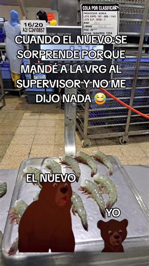 Humor entre amigos en el trabajo en Ecuador