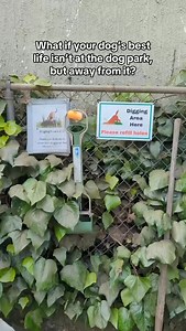 70 reactions | Give your dog the space they actually need….no chaos, no crowds, just freedom.  Find your first private Sniffspot today and see the difference. 﫡 | Sniffspot | Facebook