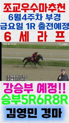 Keep an eye on Seraph, running in the 1st race at Busan-Gyeongnam on Friday of the 4th week of Ju...