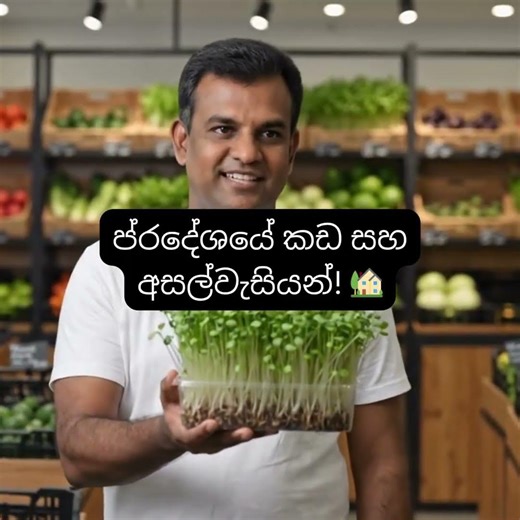 මයික්‍රෝග්‍රීන්ස් විකුණන වෙළඳපොළ හොයමු | දෙවෙනි පියවර 🌱