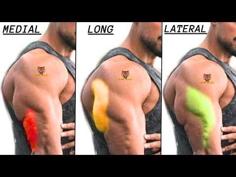 10 best triceps workout with dumbbells that you never did at home or at gym