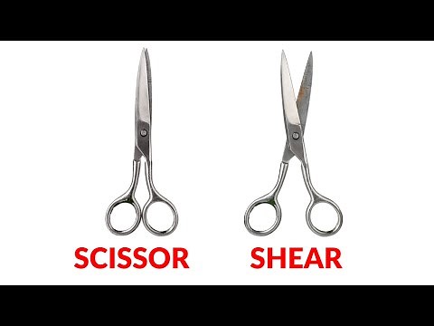 Are Scissors And Shears The Same Thing? What's The Difference?