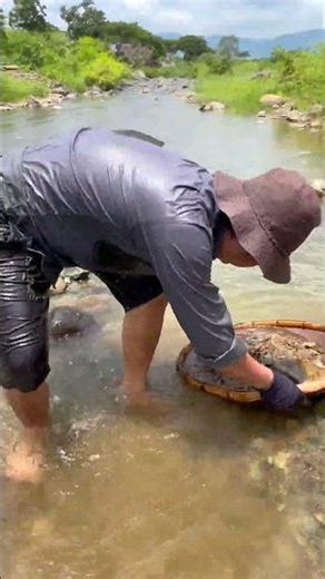 Finding Natural Quartz Crystal Gemstones By Mining Hand In River #naturalamethyst #crystals #quartz