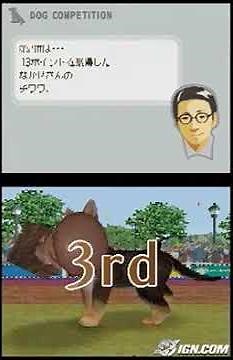 Nintendogs: Chihuahua & Friends Nintendo DS Gameplay -